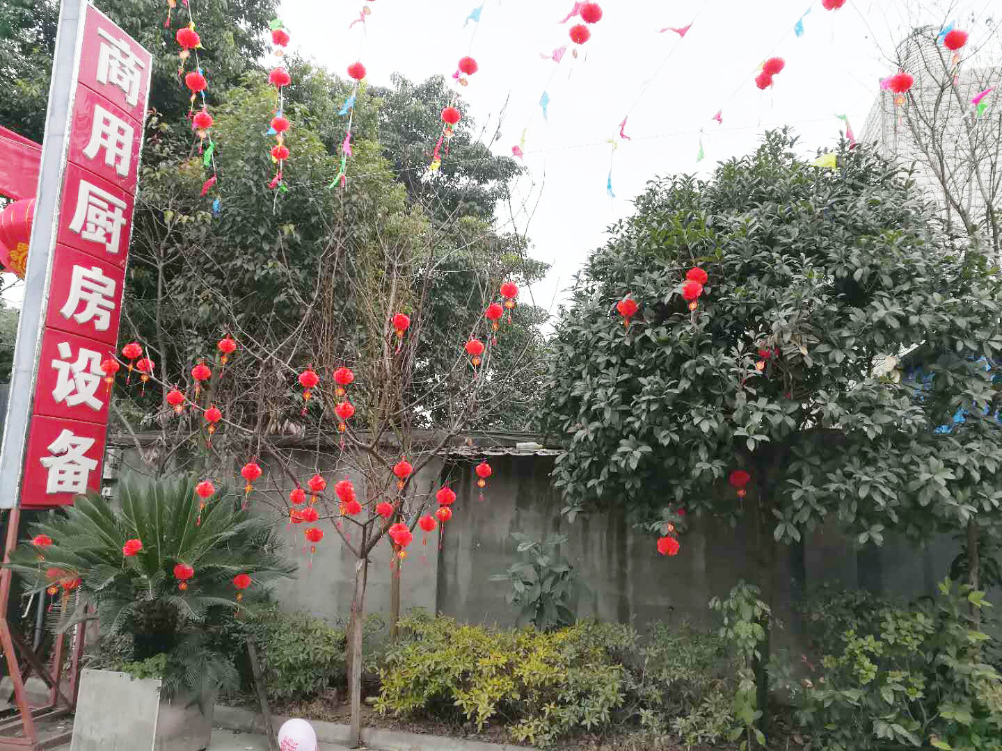 四川日皮视频软件下载日皮视频APP苹果下载设备公司年会5