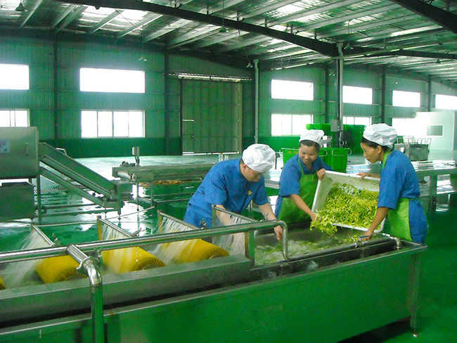 中央日皮视频APP苹果下载设计