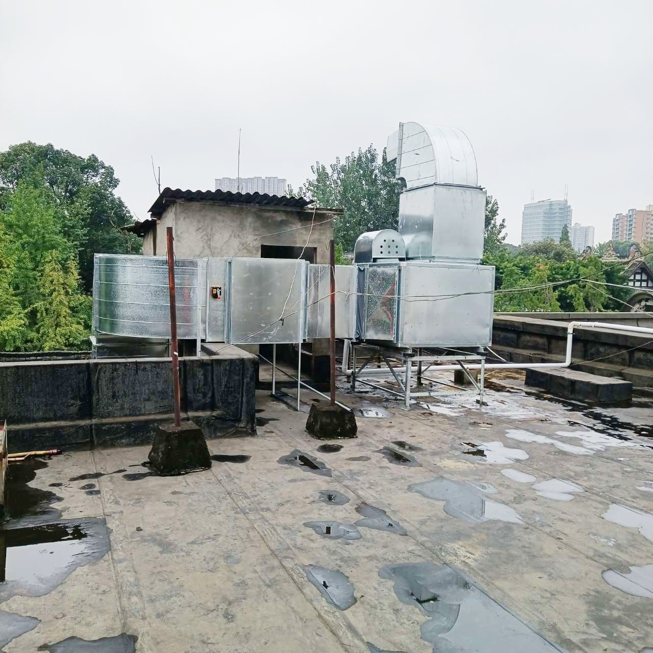 食堂日皮视频APP苹果下载设备公司