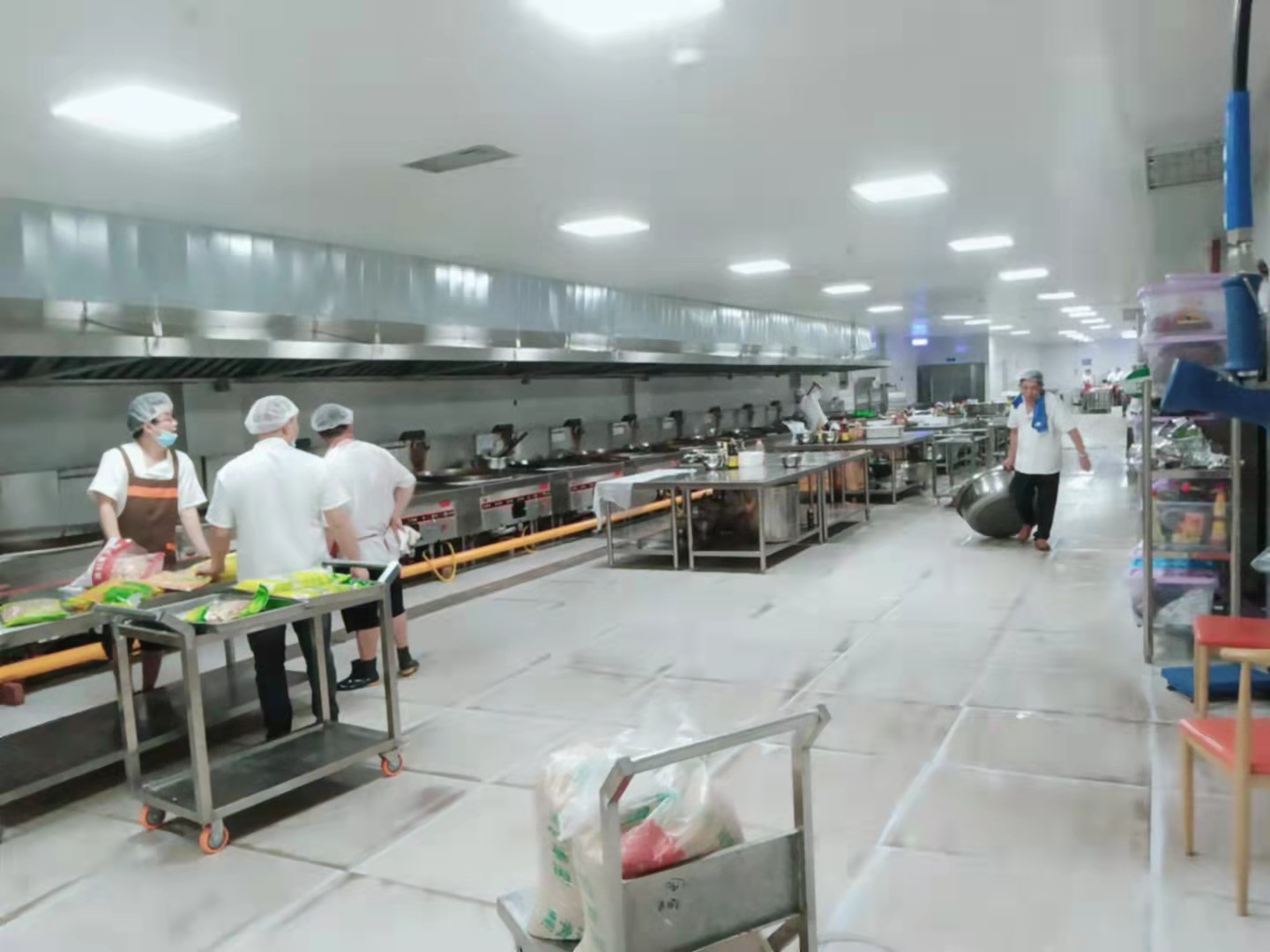 川菜商用日皮视频APP苹果下载设计