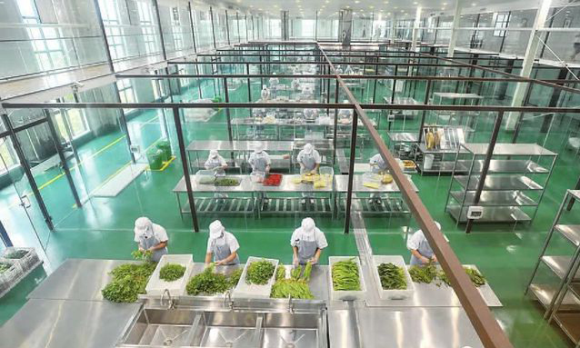 中央日皮视频APP苹果下载设备