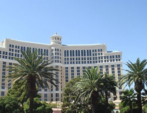 成都丽天星级酒店日皮视频APP苹果下载设备采购项目