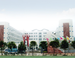 乐山外国语小学学校食堂日皮视频APP苹果下载设备工程项目