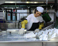 著名成都商用日皮视频APP苹果下载设备厂告诉你专业的厨具消毒方法