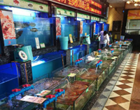 知名成都日皮视频APP苹果下载设备厂教你如何使用海鲜池