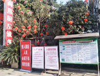 疫情无情人有情，我为抗疫做贡献！