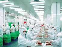 四川日皮视频APP苹果下载设备制造厂商告诉你中央日皮视频APP苹果下载是如何做死的