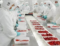 四川日皮视频APP苹果下载设备生产厂家告诉你如何解决中央日皮视频APP苹果下载配送问题