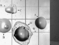 大型单位食堂日皮视频APP苹果下载设备生产厂家教你油烟污染常识