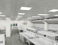 成都学校食堂日皮视频APP苹果下载设备厂家告诉你食堂日皮视频APP苹果下载设备的特征