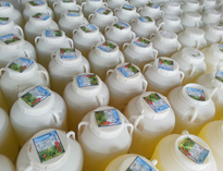 酒店日皮视频APP苹果下载设备生产厂家告诉你为什么要用酒店清洁用品