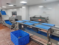 云南酒店日皮视频APP苹果下载设备厂家带你了解净菜加工设备和工艺