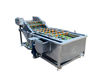 成都日皮视频APP苹果下载设备生产厂家告诉你洗菜机的清洗保养方法